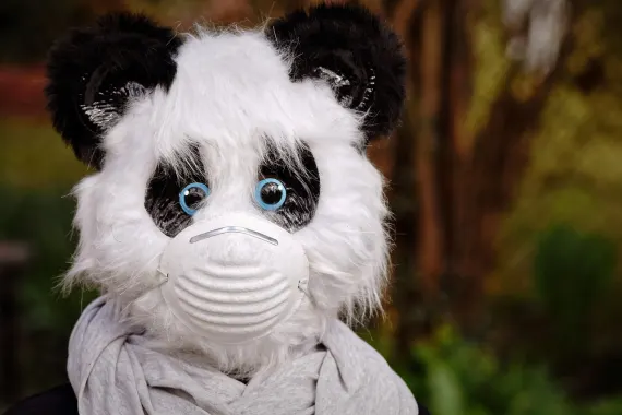 Kasino Cabaret Club Podpora